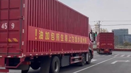 那只“跳進(jìn)”愛心蔬菜包的手機(jī)咋樣啦？請(qǐng)聽刷屏“奇遇”后續(xù)……
