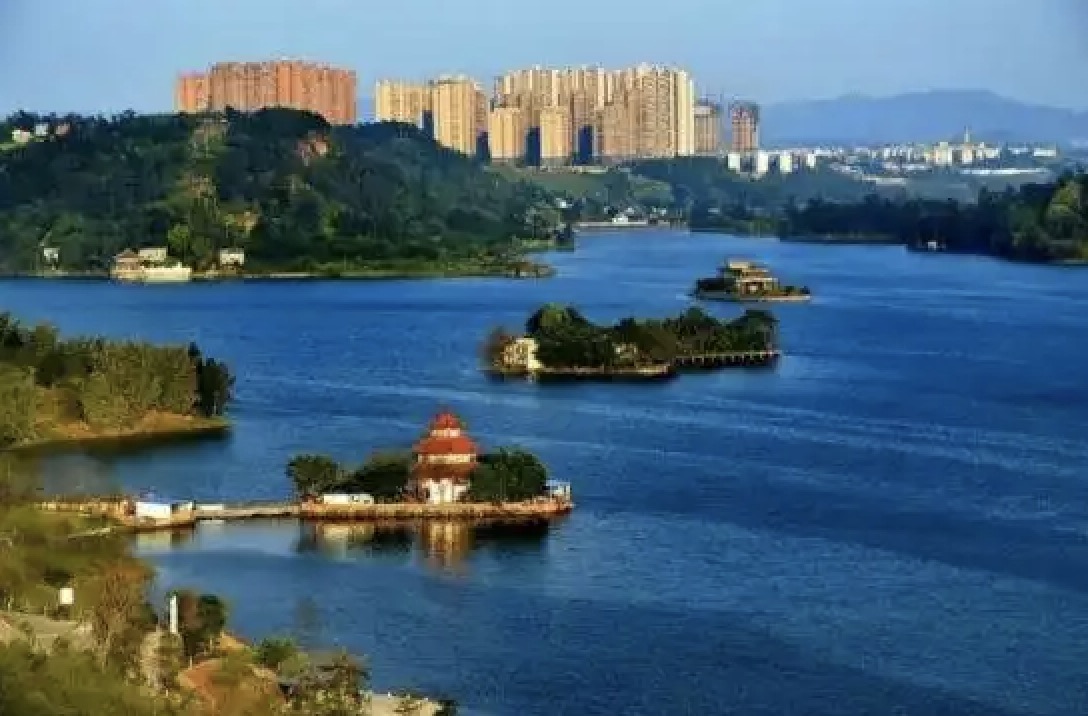 內(nèi)江市隆昌市探索政務(wù)服務(wù)“四心”解法，助力“銀齡族”跨越“數(shù)字鴻溝”