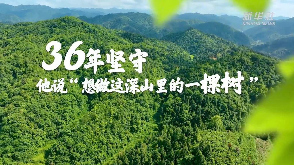 36年堅(jiān)守！他說“想做這深山里的一棵樹”