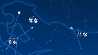 虎年來了，抬頭尋找天上的“白虎”
