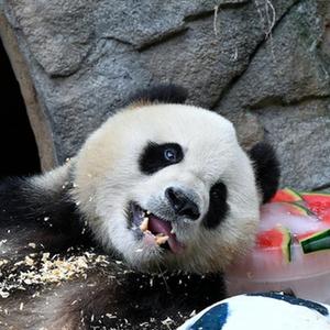 微信分享圖