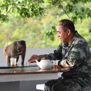 微信分享圖