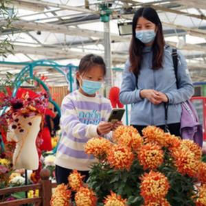 微信分享圖