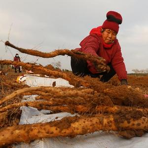 微信分享圖