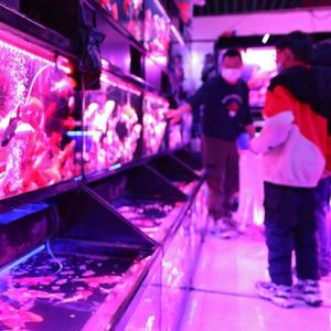微信分享圖