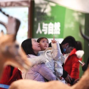 微信分享圖