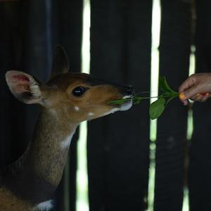 微信分享圖