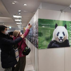 微信分享圖