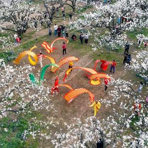 微信分享圖