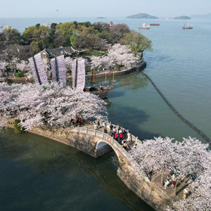 微信分享圖