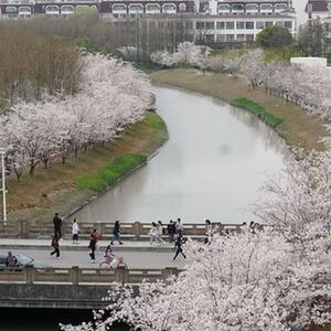 微信分享圖