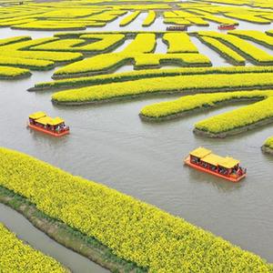微信分享圖