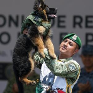 微信分享圖