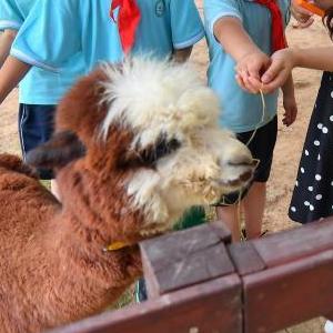微信分享圖