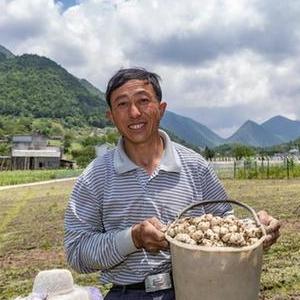 微信分享圖