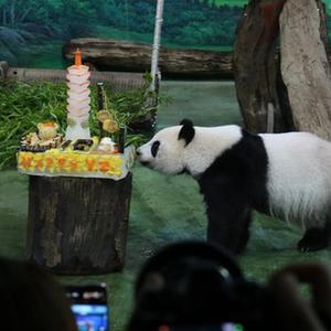 微信分享圖