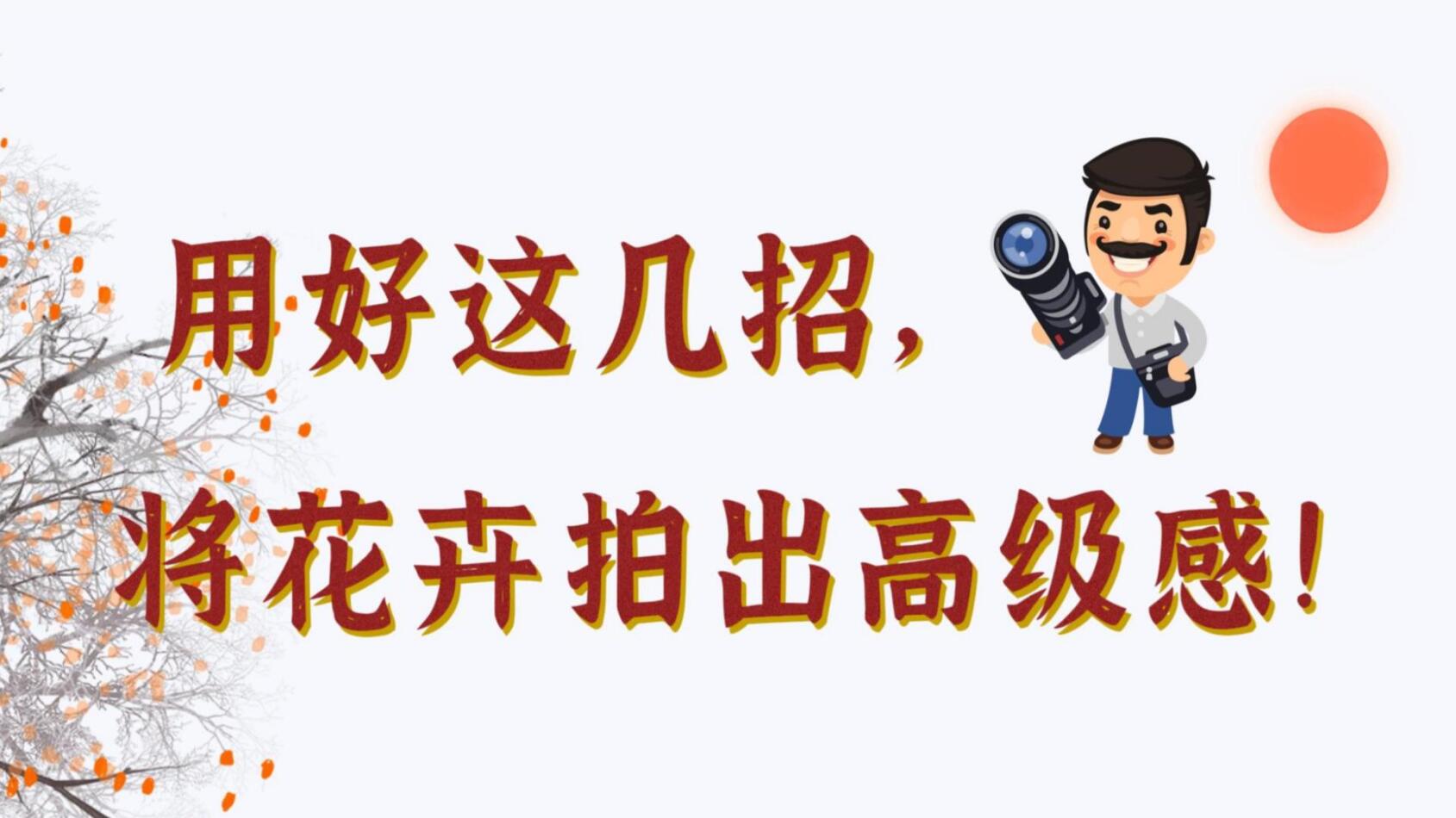 【光影輕課堂】用好這幾招，將花卉拍出高級感！
