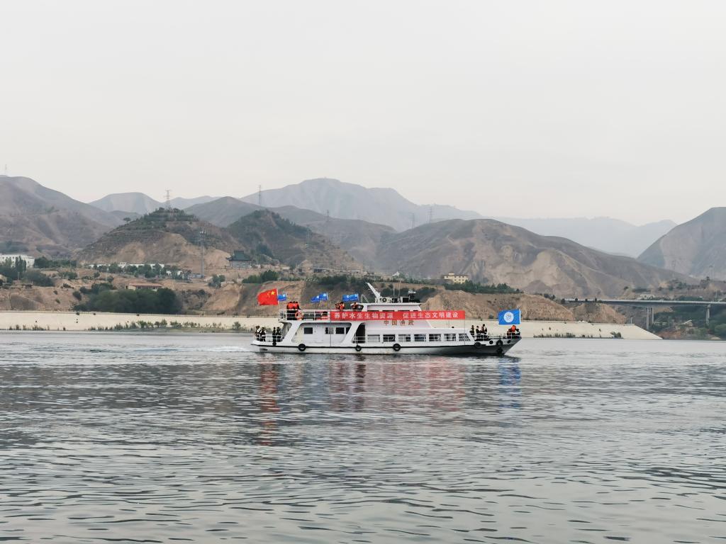 甘肅向劉家峽庫(kù)區(qū)放流鰱魚(yú)、鳙魚(yú)200萬(wàn)尾