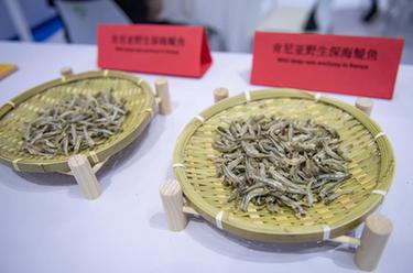 中國首次進(jìn)口肯尼亞野生鳀魚產(chǎn)品亮相中非經(jīng)貿(mào)博覽會(huì)
