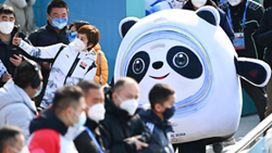 透過“冰墩墩”，感受可愛的中國(guó)