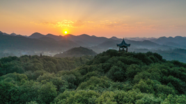 提升生態(tài)碳匯能力，植樹造林怎么干？