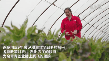 余青青：深耕綠色生態(tài)農(nóng)業(yè) 引領鄉(xiāng)親增收致富