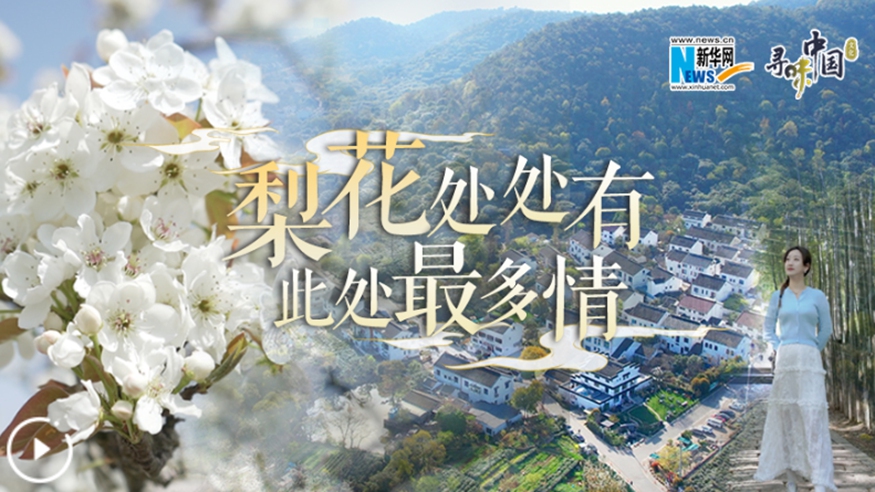 梨花處處有，此處最多情