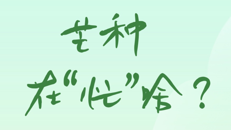 芒種在“忙”啥？