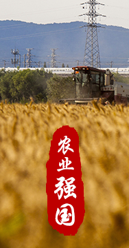 農(nóng)業(yè)強(qiáng)國是社會主義現(xiàn)代化強(qiáng)國的根基。