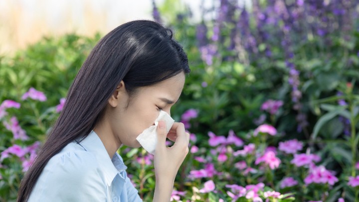 不養(yǎng)花、不碰花，為什么還會花粉過敏