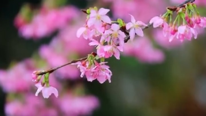 春分時節(jié)，關(guān)注身體健康