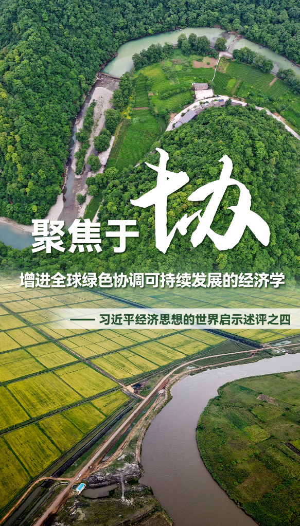 聚焦于“協(xié)”，增進(jìn)全球綠色協(xié)調(diào)可持續(xù)發(fā)展的經(jīng)濟(jì)學(xué)