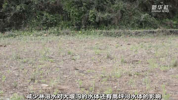 曾經(jīng)被“遺棄”的它們 搬到新家啦！