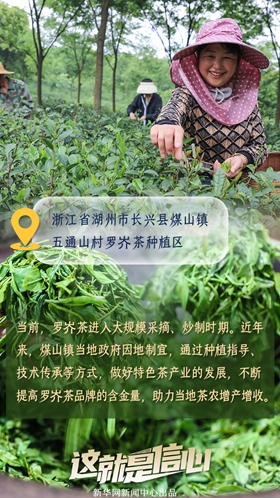 這就是信心丨應(yīng)季收獲忙！看田間地頭上的增收新路子