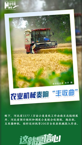 這就是信心｜好一派豐收景象！