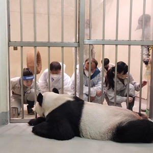 微信分享圖
