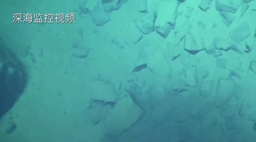 8919米！我國科學(xué)家首次探底雅浦海溝 成功采集深淵樣本