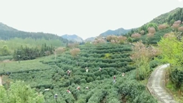 萬象“耕”新！碼住人間四月天