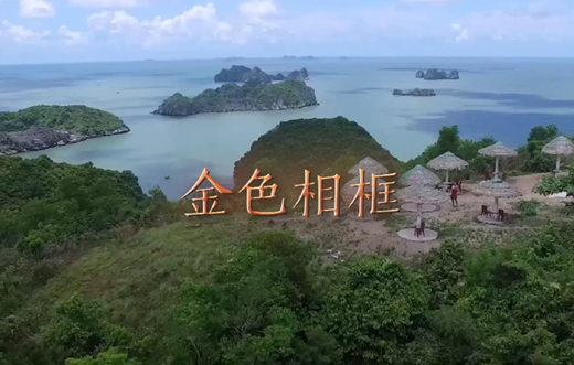 金色相框｜習(xí)近平對(duì)越南進(jìn)行國事訪問